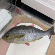 ヒメ日記 2025/07/09 20:18 投稿 さとみ 横浜秘密倶楽部