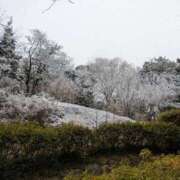 さとみ お礼🫶🫶 横浜秘密倶楽部