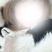 いこ いこサンタ🎅🏻🍒 さくらん