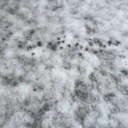 ヒメ日記 2026/03/10 10:45 投稿 ななお 大宮ウィング