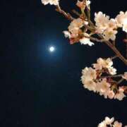 ヒメ日記 2025/04/25 13:02 投稿 ようこ パリス雄琴店