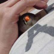 ヒメ日記 2025/08/09 11:22 投稿 ようこ パリス雄琴店