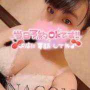 ヒメ日記 2025/08/15 06:58 投稿 なごみ パリス雄琴店