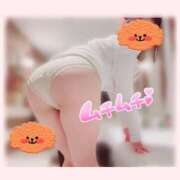 ヒメ日記 2025/04/03 15:22 投稿 ねこ パリス雄琴店