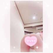 ヒメ日記 2025/04/15 17:38 投稿 ねこ パリス雄琴店