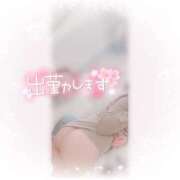 ヒメ日記 2025/05/16 13:02 投稿 ねこ パリス雄琴店