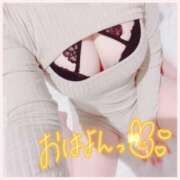 ヒメ日記 2025/05/20 11:22 投稿 ねこ パリス雄琴店