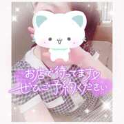 ヒメ日記 2025/05/28 12:52 投稿 ねこ パリス雄琴店