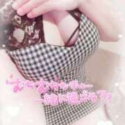 ヒメ日記 2025/07/10 13:31 投稿 ねこ パリス雄琴店