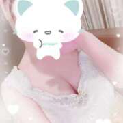 ヒメ日記 2025/08/06 13:42 投稿 ねこ パリス雄琴店