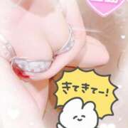 ヒメ日記 2025/08/07 09:42 投稿 ねこ パリス雄琴店