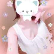 ヒメ日記 2025/08/20 15:30 投稿 ねこ パリス雄琴店