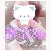 ヒメ日記 2025/09/17 22:02 投稿 ねこ パリス雄琴店