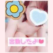 ヒメ日記 2025/09/25 18:48 投稿 ねこ パリス雄琴店