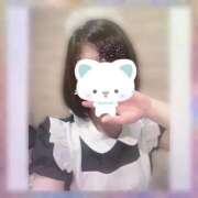 ヒメ日記 2025/11/17 12:42 投稿 ねこ パリス雄琴店