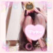 ヒメ日記 2025/12/01 16:32 投稿 ねこ パリス雄琴店