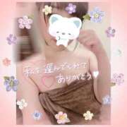 ねこ たくさんありがとう🥰 マリンマリン(雄琴)