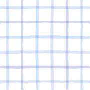 ヒメ日記 2025/08/29 07:19 投稿 愛遥 めい ファーストクラス ルビー