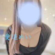 ヒメ日記 2025/09/02 13:23 投稿 愛遥 めい ファーストクラス ルビー