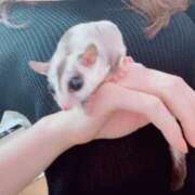 ヒメ日記 2025/03/31 10:03 投稿 天野とうか　仰せのままに…ご奉仕 ファーストクラス ルビー