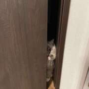 ヒメ日記 2025/04/09 09:13 投稿 天野とうか　仰せのままに…ご奉仕 ファーストクラス ルビー