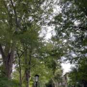 ヒメ日記 2025/09/23 18:51 投稿 天野とうか　仰せのままに…ご奉仕 ファーストクラス ルビー