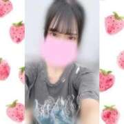 ヒメ日記 2025/10/03 20:45 投稿 一ノ宮 みらい　囁き声可愛すぎる ファーストクラス ルビー