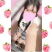 ヒメ日記 2025/10/16 23:53 投稿 一ノ宮 みらい　囁き声可愛すぎる ファーストクラス ルビー