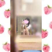 ヒメ日記 2025/10/24 16:13 投稿 一ノ宮 みらい　囁き声可愛すぎる ファーストクラス ルビー