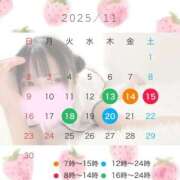 ヒメ日記 2025/11/12 14:33 投稿 一ノ宮 みらい　囁き声可愛すぎる ファーストクラス ルビー