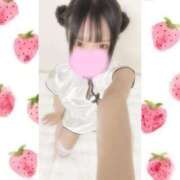 ヒメ日記 2025/11/15 05:57 投稿 一ノ宮 みらい　囁き声可愛すぎる ファーストクラス ルビー