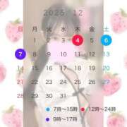 ヒメ日記 2025/12/02 23:17 投稿 一ノ宮 みらい　囁き声可愛すぎる ファーストクラス ルビー