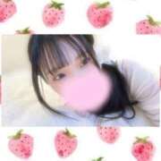 ヒメ日記 2025/12/17 20:36 投稿 一ノ宮 みらい　囁き声可愛すぎる ファーストクラス ルビー