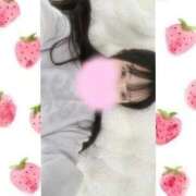 ヒメ日記 2026/02/06 00:04 投稿 一ノ宮 みらい　囁き声可愛すぎる ファーストクラス ルビー