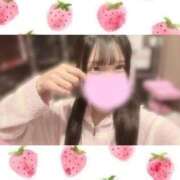 ヒメ日記 2026/04/05 08:17 投稿 一ノ宮 みらい　囁き声可愛すぎる ファーストクラス ルビー