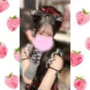 ヒメ日記 2026/04/05 23:23 投稿 一ノ宮 みらい　囁き声可愛すぎる ファーストクラス ルビー