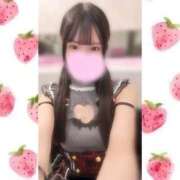 ヒメ日記 2026/04/16 14:44 投稿 一ノ宮 みらい　囁き声可愛すぎる ファーストクラス ルビー