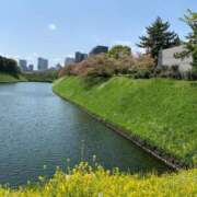 ヒメ日記 2025/04/04 17:03 投稿 風宮 こはる大当たり可愛すぎる ファーストクラス ルビー