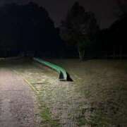 ヒメ日記 2025/04/30 08:23 投稿 風宮 こはる大当たり可愛すぎる ファーストクラス ルビー