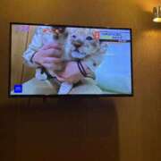 ヒメ日記 2025/05/18 08:03 投稿 風宮 こはる大当たり可愛すぎる ファーストクラス ルビー