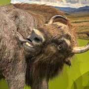 ヒメ日記 2025/07/28 17:43 投稿 風宮 こはる大当たり可愛すぎる ファーストクラス ルビー