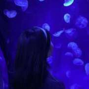 ヒメ日記 2025/09/29 06:33 投稿 風宮 こはる大当たり可愛すぎる ファーストクラス ルビー