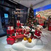 ヒメ日記 2025/11/07 18:43 投稿 風宮 こはる大当たり可愛すぎる ファーストクラス ルビー