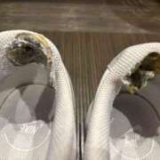 ヒメ日記 2026/03/17 07:33 投稿 風宮 こはる大当たり可愛すぎる ファーストクラス ルビー