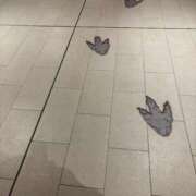 ヒメ日記 2026/09/29 19:37 投稿 風宮 こはる大当たり可愛すぎる ファーストクラス ルビー