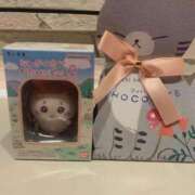 ヒメ日記 2025/02/18 20:05 投稿 神無月 きよか　完全ＳＳＳ美 ファーストクラス ルビー