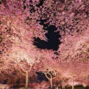 ヒメ日記 2025/03/21 22:43 投稿 神無月 きよか　完全ＳＳＳ美 ファーストクラス ルビー