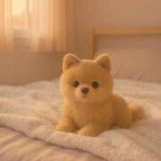 ヒメ日記 2025/05/16 03:43 投稿 神無月 きよか　完全ＳＳＳ美 ファーストクラス ルビー