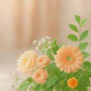 ヒメ日記 2025/05/19 06:03 投稿 神無月 きよか　完全ＳＳＳ美 ファーストクラス ルビー