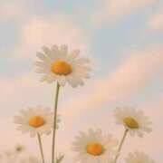 ヒメ日記 2025/05/20 20:53 投稿 神無月 きよか　完全ＳＳＳ美 ファーストクラス ルビー